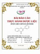 Bài Báo Cáo Dược Liệu Chứa Flavonoid