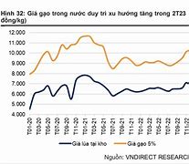 Giá Gạo Xuất Khẩu Của Thái Lan 2023 Bao Nhiêu