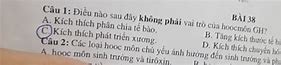 Iôt Là Thành Phần Của Hoocmon Nào Sau Đây